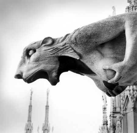 Marco Anelli, Duomo di Milano
